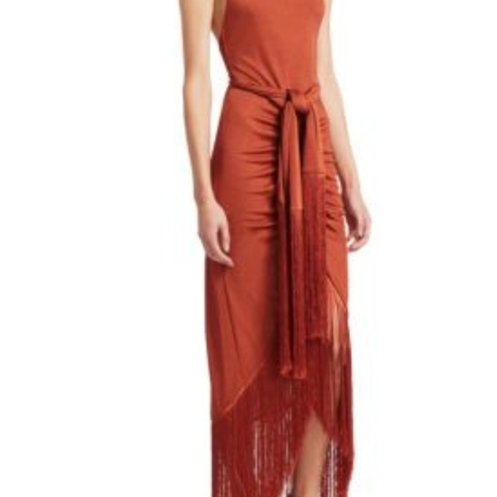 Cult Gaia Natalia Dress - Burnt Orange with Fringe - Picture 3 of 13